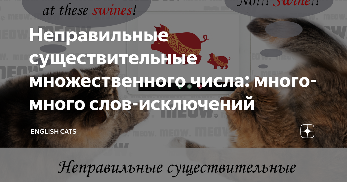 не с существительными все правила
