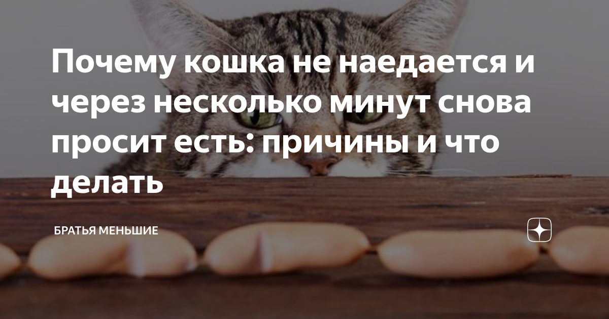 На несколько минут и снова. На несколько минут и снова