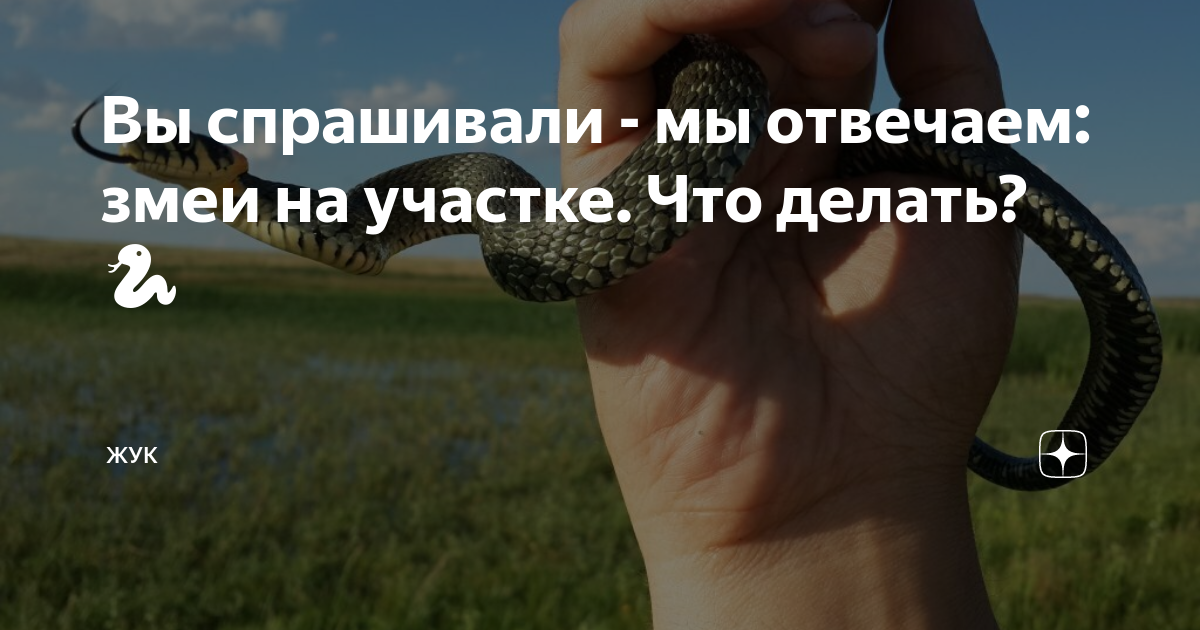 что делать в зиме