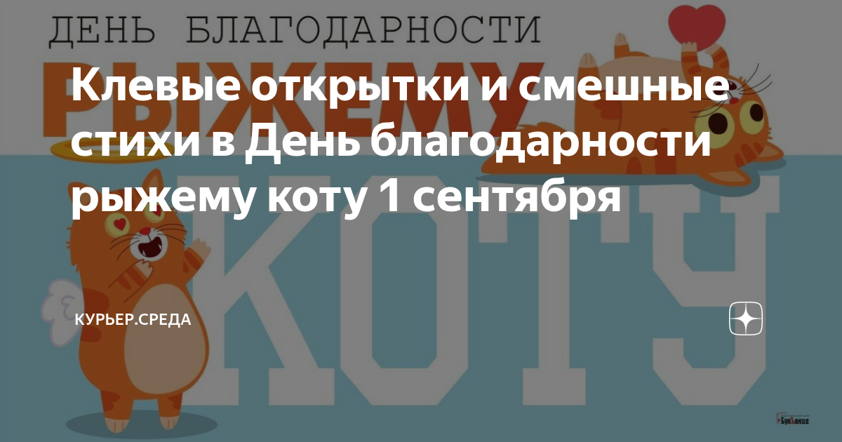 Рыжий кот. Открытка спасибо с рыжим котом. День благодарности рыжему коту картинки с надписями. Котик с букетом в лапах. Кот 1с.