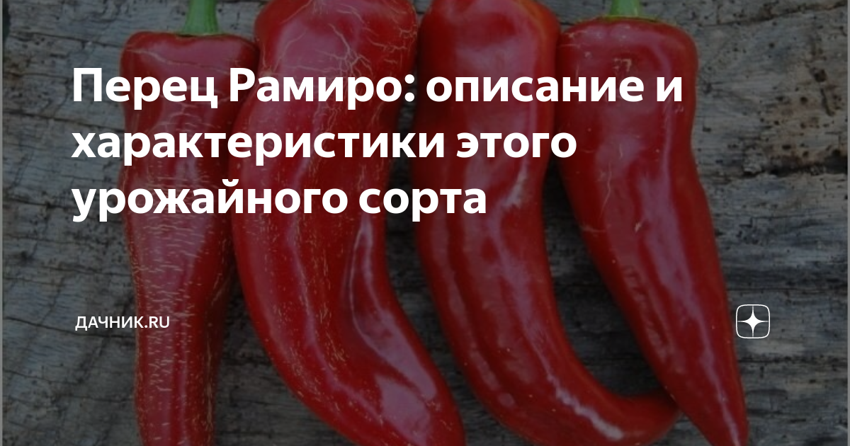Перец дамира описание сорта фото отзывы садоводов - MosRosa.ru