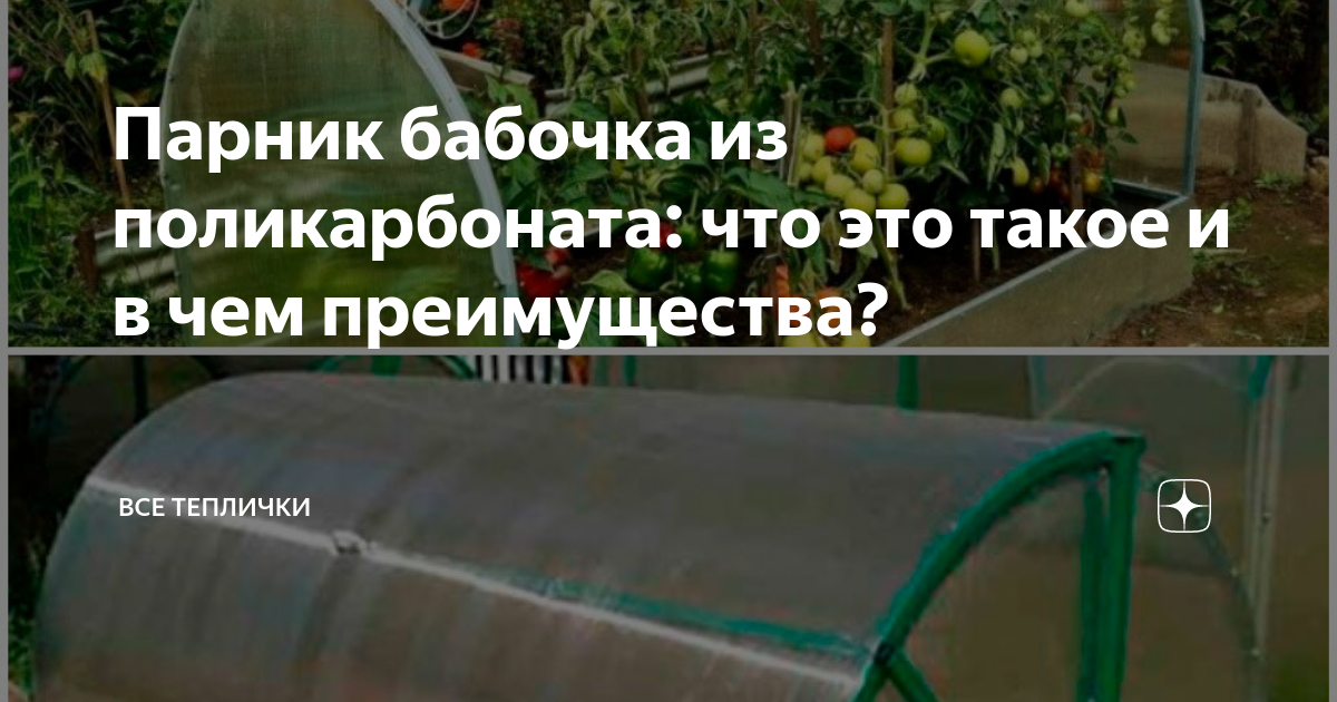 Парник «Бабочка» из поликарбоната — монтаж теплицы для огурцов своими руками