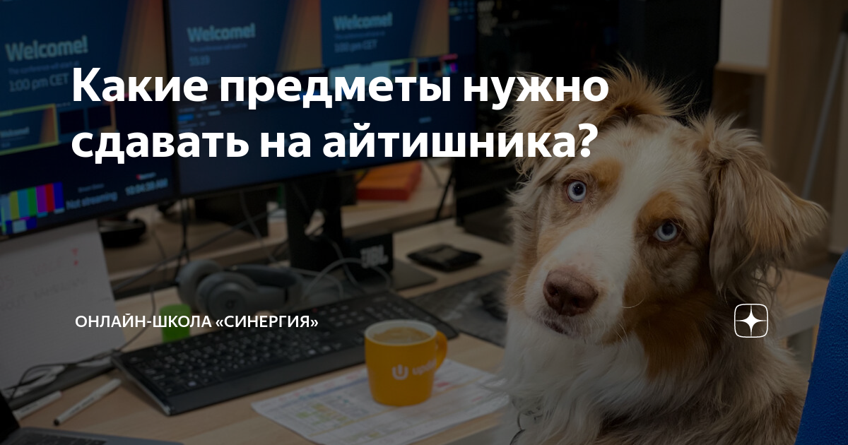 какие предметы нужно сдавать на адвоката в польше