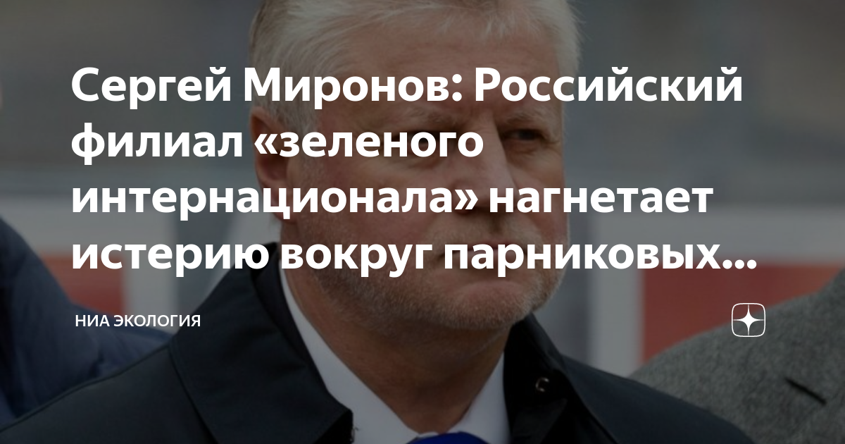 Сергей Миронов: Российский филиал «зеленого интернационала» нагнетает ...