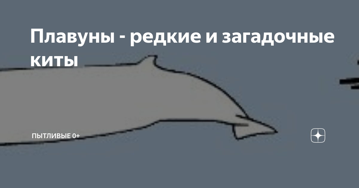 Северный плавун 9 букв Северный плавун 9 букв