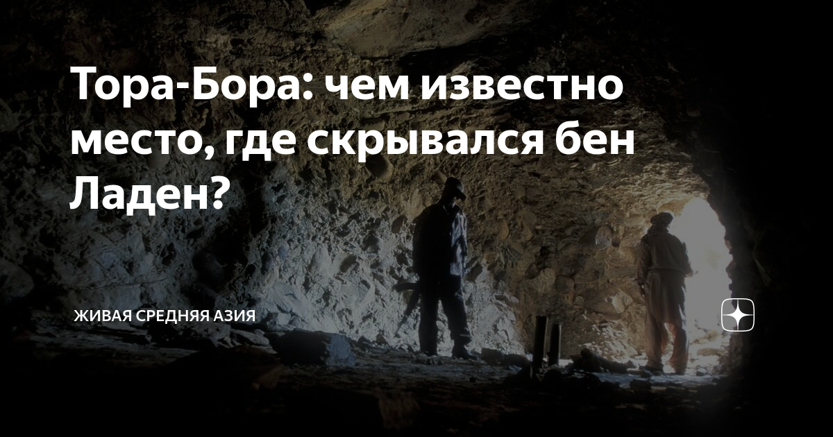 Тора-Бора: чем известно место, где скрывался бен Ладен? | Живая Средняя ...