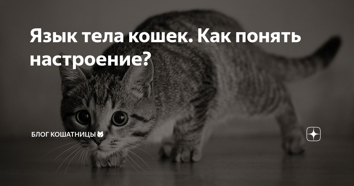 Блик в глазах