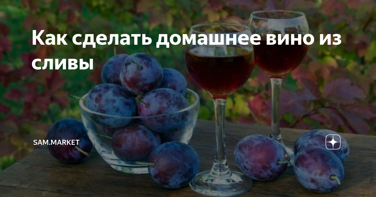 Вино из сливы: 2 простых рецепта в домашних условиях пошагово без косточек