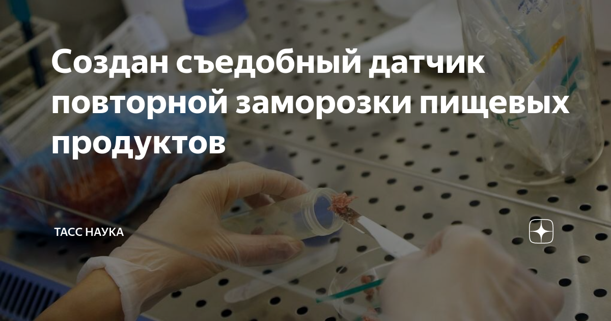 Описание инновационного датчика разморозки продуктов из воска, соли и капусты