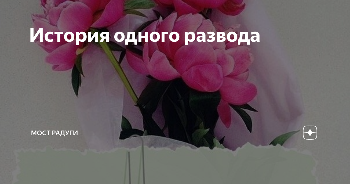 История одного развода | Мост Радуги | Дзен