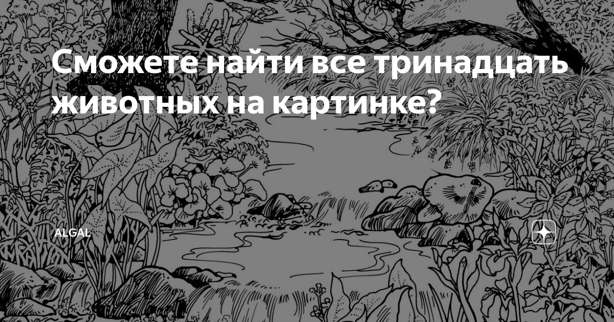 Могут читаться слева направо, сверху вниз и по диагонали. 12 слов по теме мой дом слова могут читаться слева направо сверху вниз. Найдите названия 13 животных. Найди 13 животных. Найди названия животных.