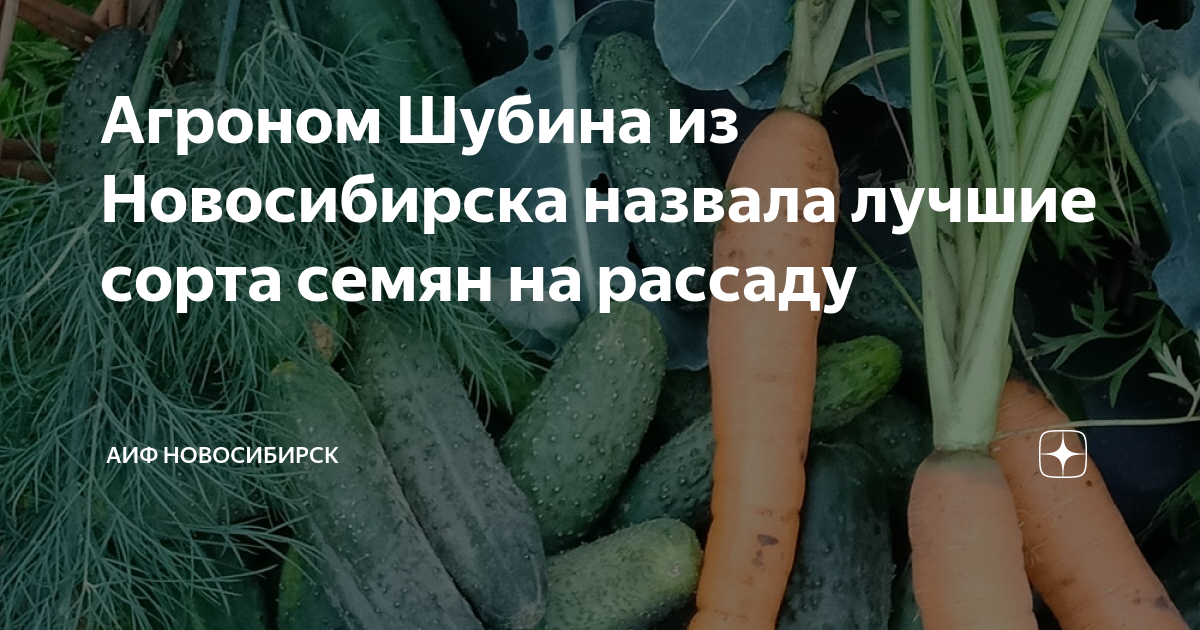 Агроном Шубина из Новосибирска назвала лучшие сорта семян на рассаду ...