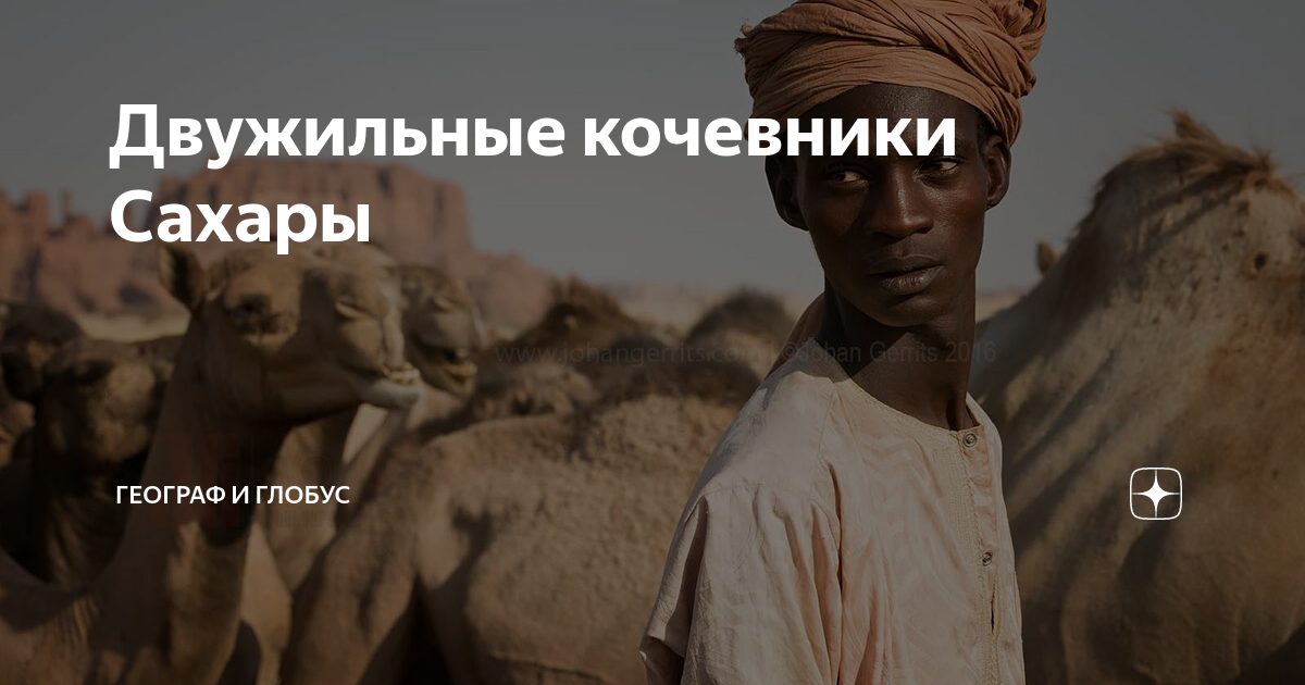 Двужильные кочевники Сахары | Географ и глобус | Дзен