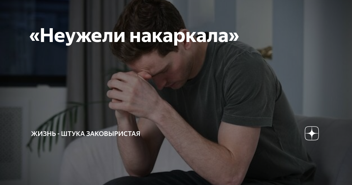 Дзен жизнь штука