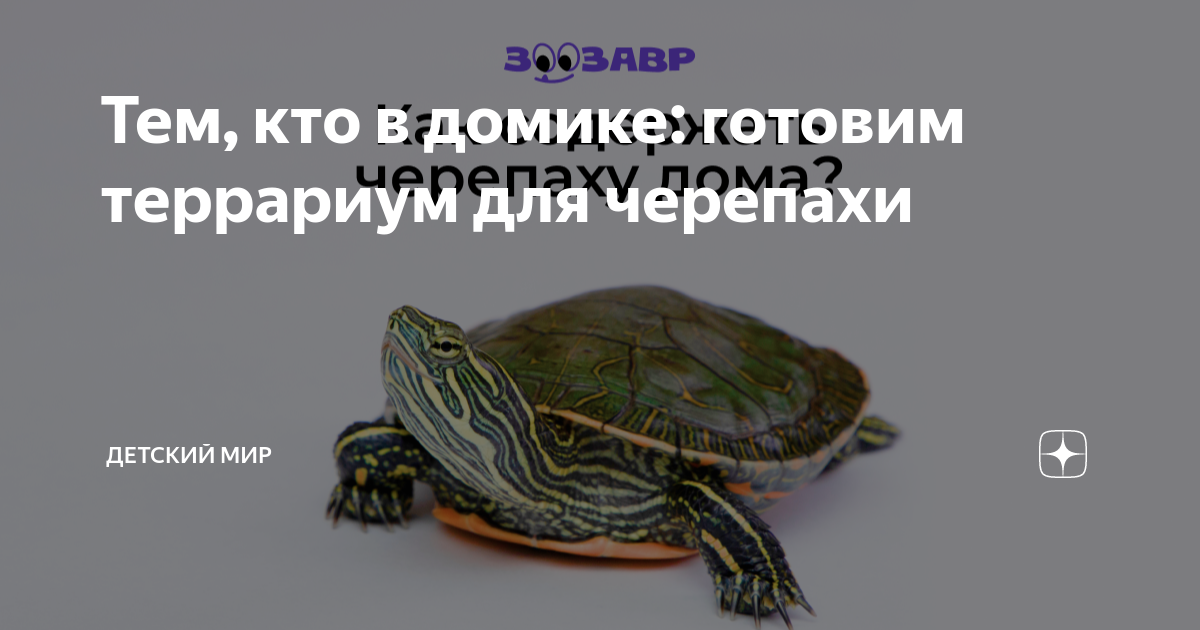 Новости и статьи