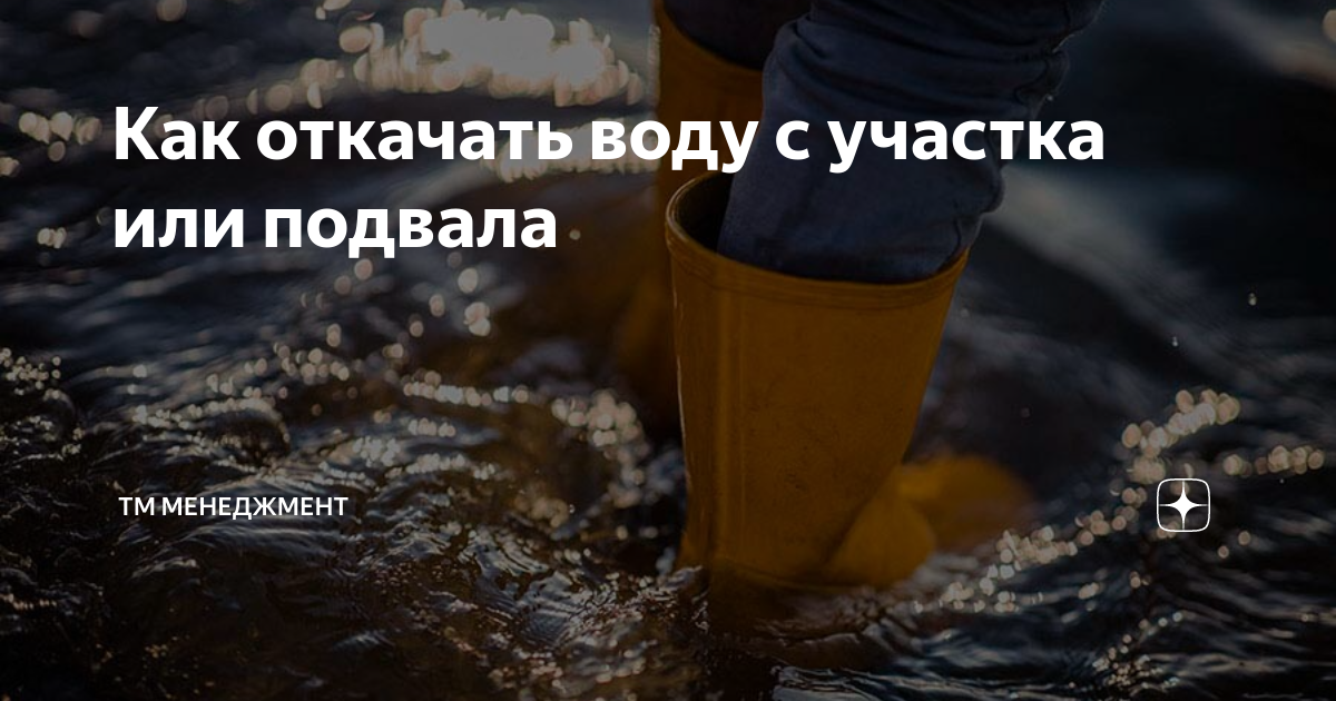 Как откачать воду с участка или подвала | ТМ МЕНЕДЖМЕНТ | Дзен