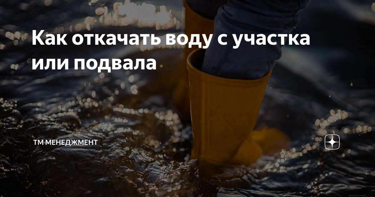���� + ��������� ����: ����.