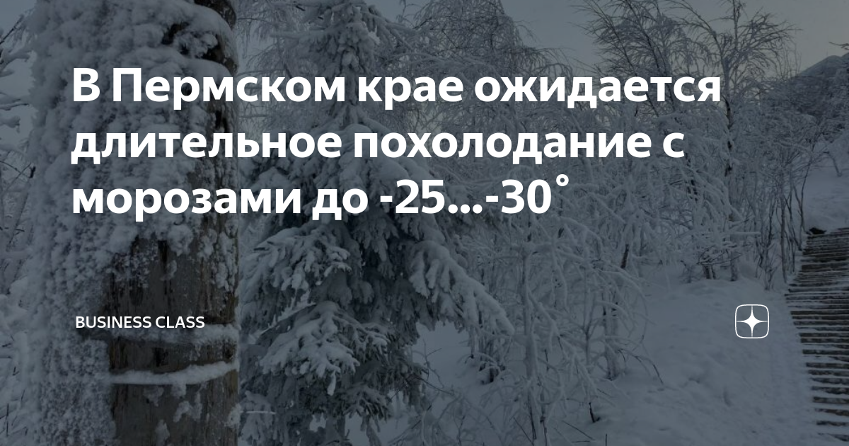 Губернаторский грант пермский край