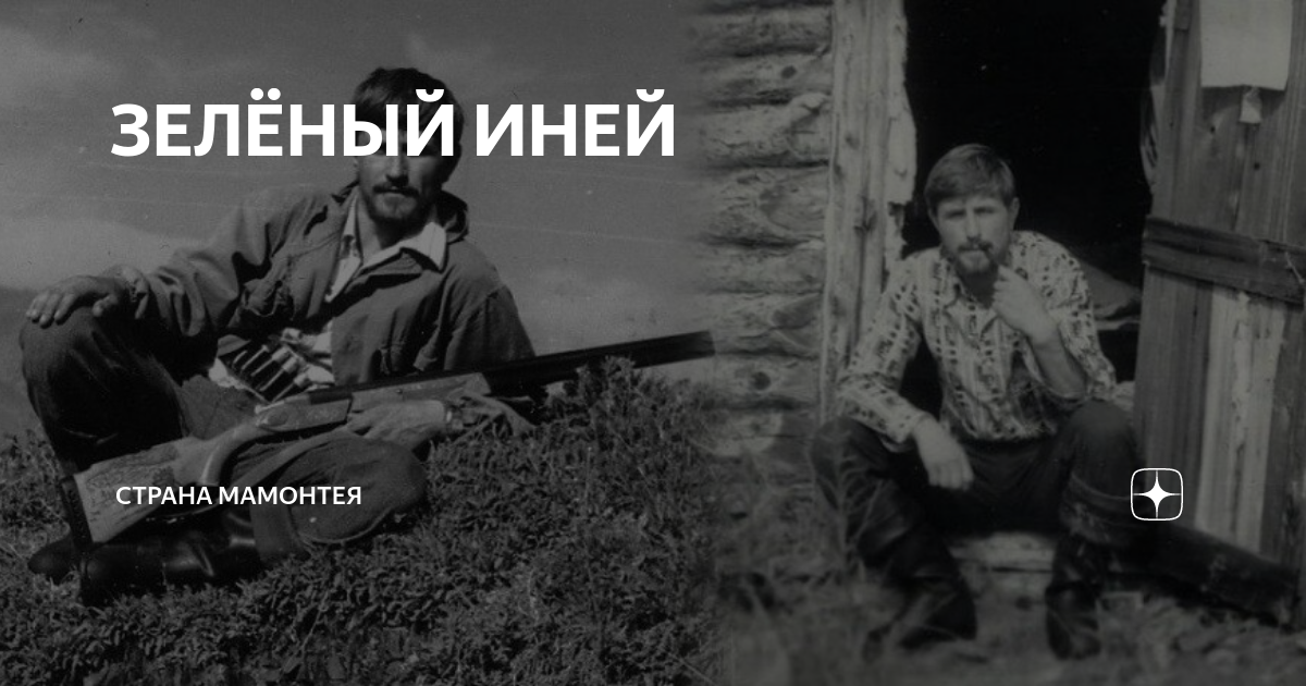 Шелегов Валерий, Автор в LitWeb: литературные журналы и книги. Обучение писательскому мастерству