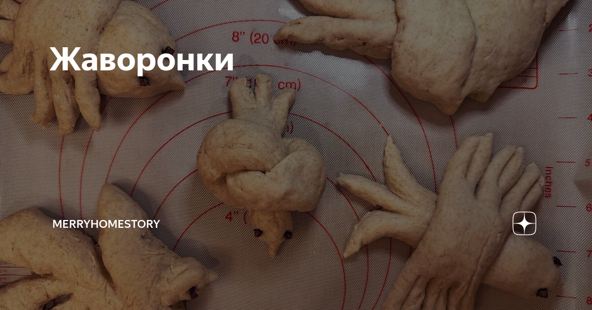 Когда день жаворонка в 2025 году. Жаворонки день весеннего равноденствия. жаворонки здравница. праздник жаворонки 2025. булочка в виде голубя.