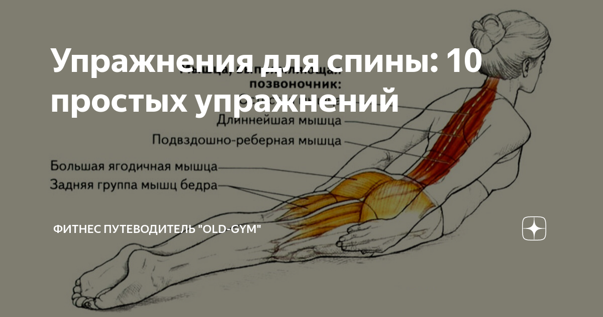 сидячая работа болит спина упражнения