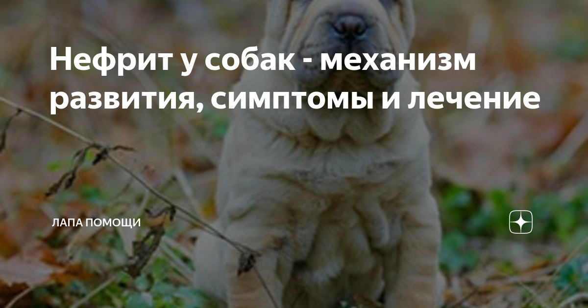 Повышение температуры тела