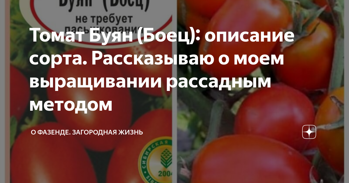 Сибирский сад 63310 - купить по выгодным ценам в интернет-магазине OZON (8724930