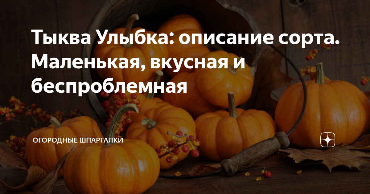 Тыква Улыбка: описание сорта. Маленькая, вкусная и беспроблемная ...