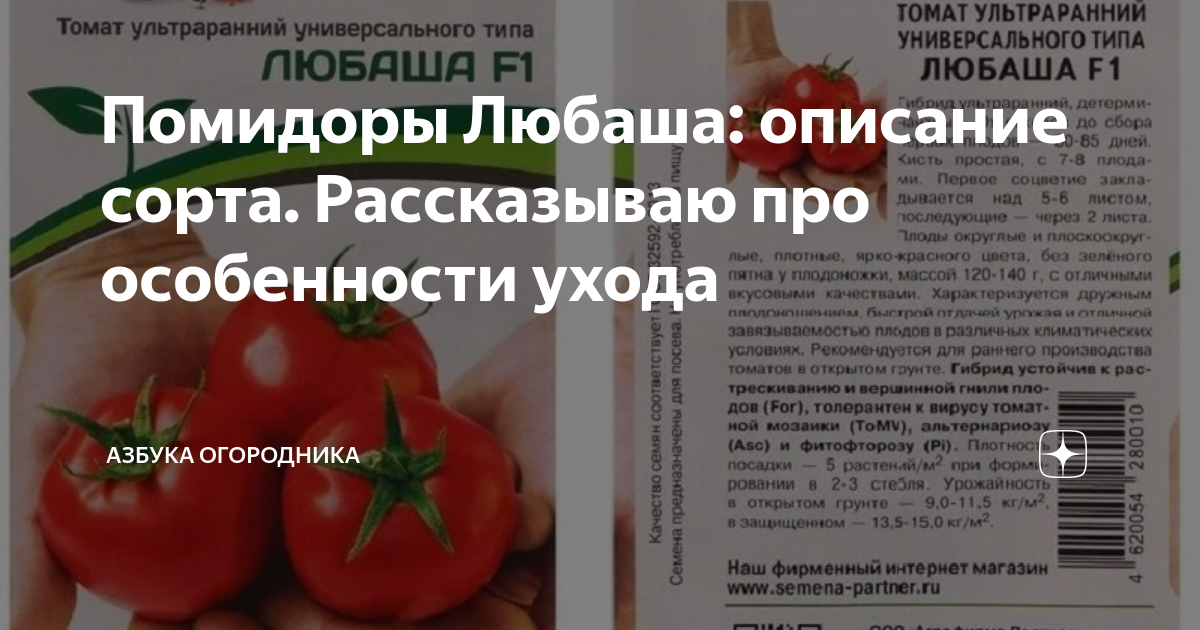 Томаты любаша описание сорта фото