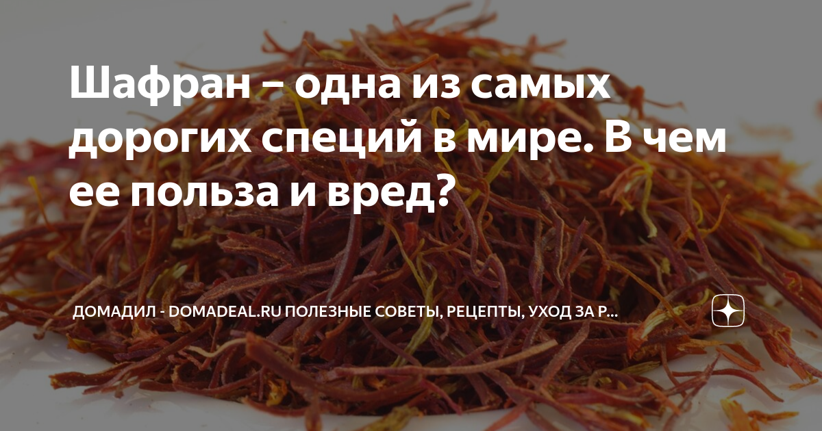 Самая дорогая пряность в мире 6 букв