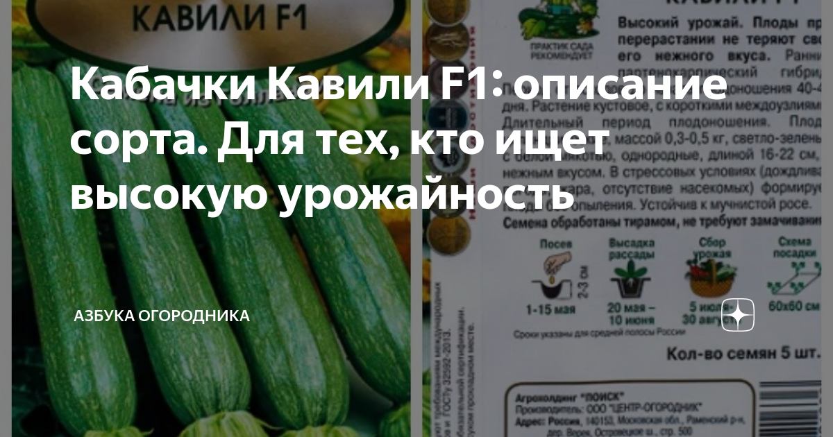 Кабачок Кавили F1 - отзывы, фото, описание сорта, характеристика, достоинства и недостатки, особенности выращивания