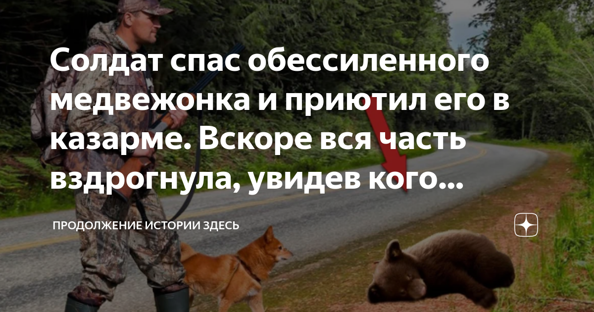 я внук того солдата аккорды. аккорды. я солдат аккорды.