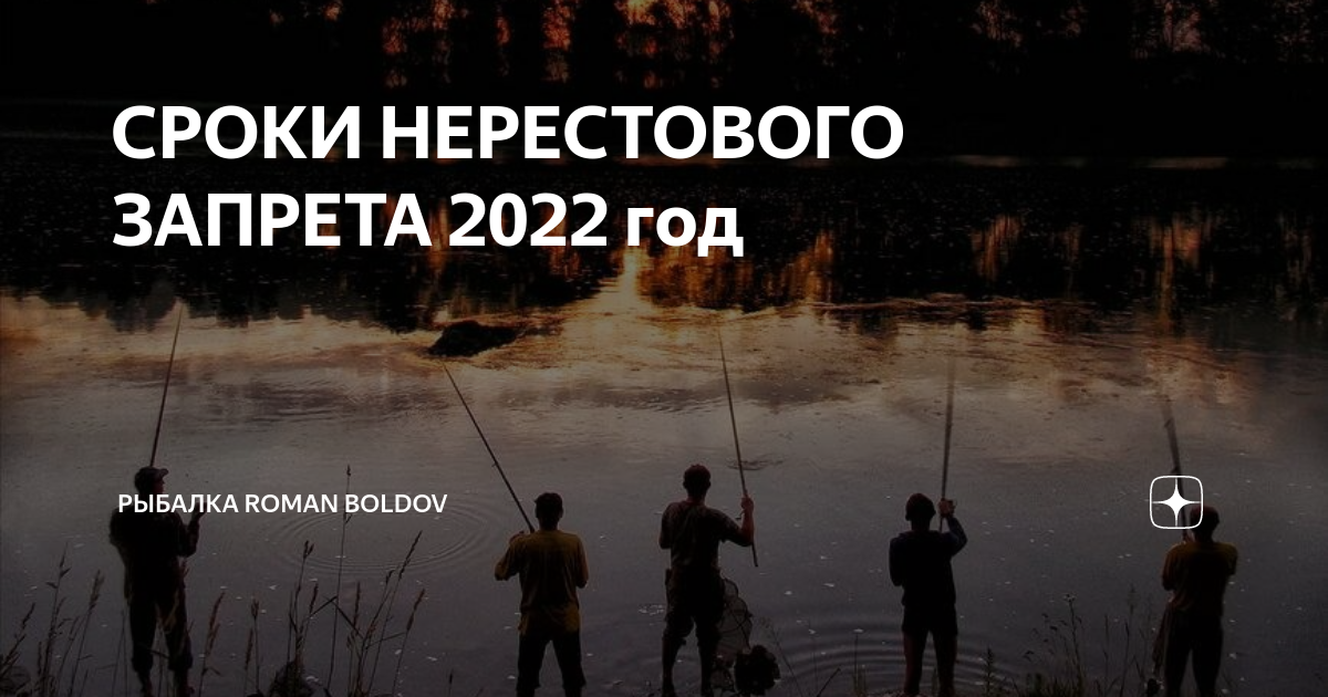 Запрет на рыбную ловлю в 2022 году: новости и обзоры, последние данные