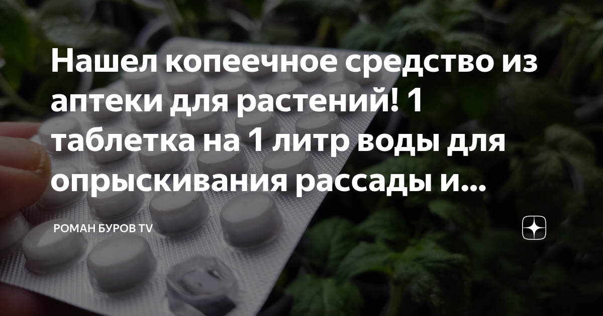 Нашел копеечное средство из аптеки для растений! 1 таблетка на 1 литр ...