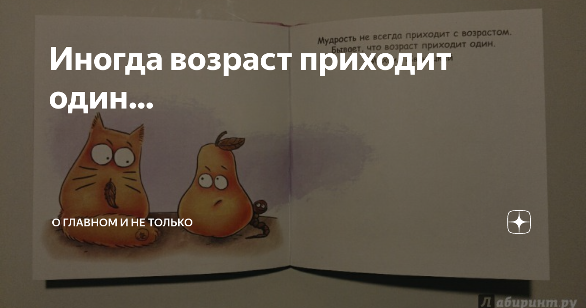 Мудрость не всегда приходит с возрастом. Иногда возраст приходит один. Фактрум в картинках. Мудрость приходит с годами. Мудрость приходит с возрастом.