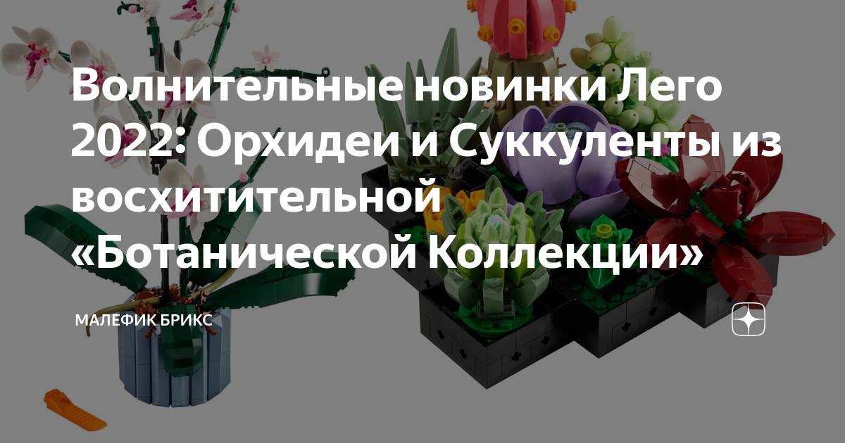 Волнительные новинки Лего 2022: Орхидеи и Суккуленты из восхитительной ...