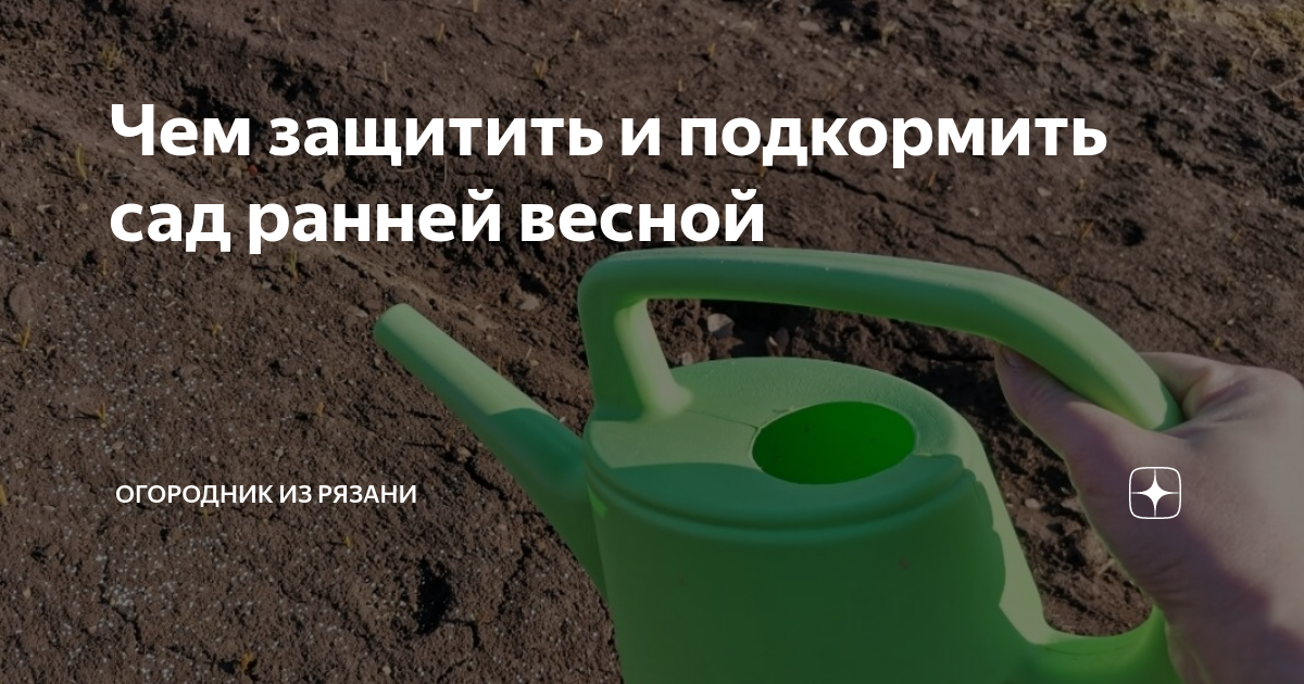 Чем подкормить сад в сентябре октябре. Огородник из Рязани. Огородник из Рязани дзен. Грунт для рассады огородник из Рязани.