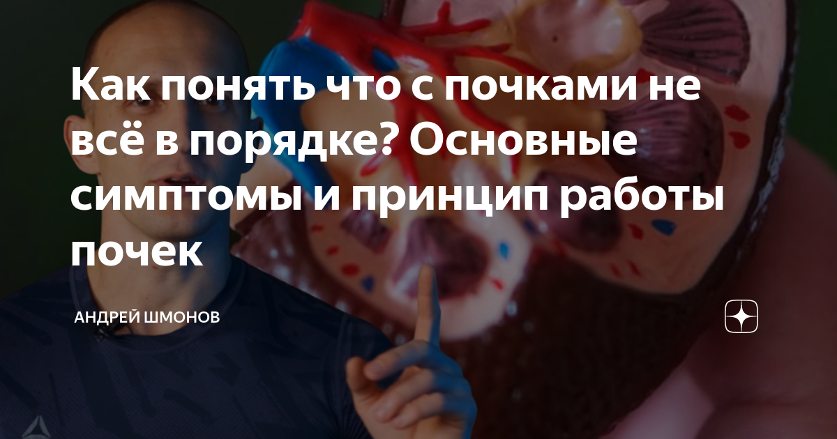 Как понять что с почками не всё в порядке? Основные симптомы и принцип ...