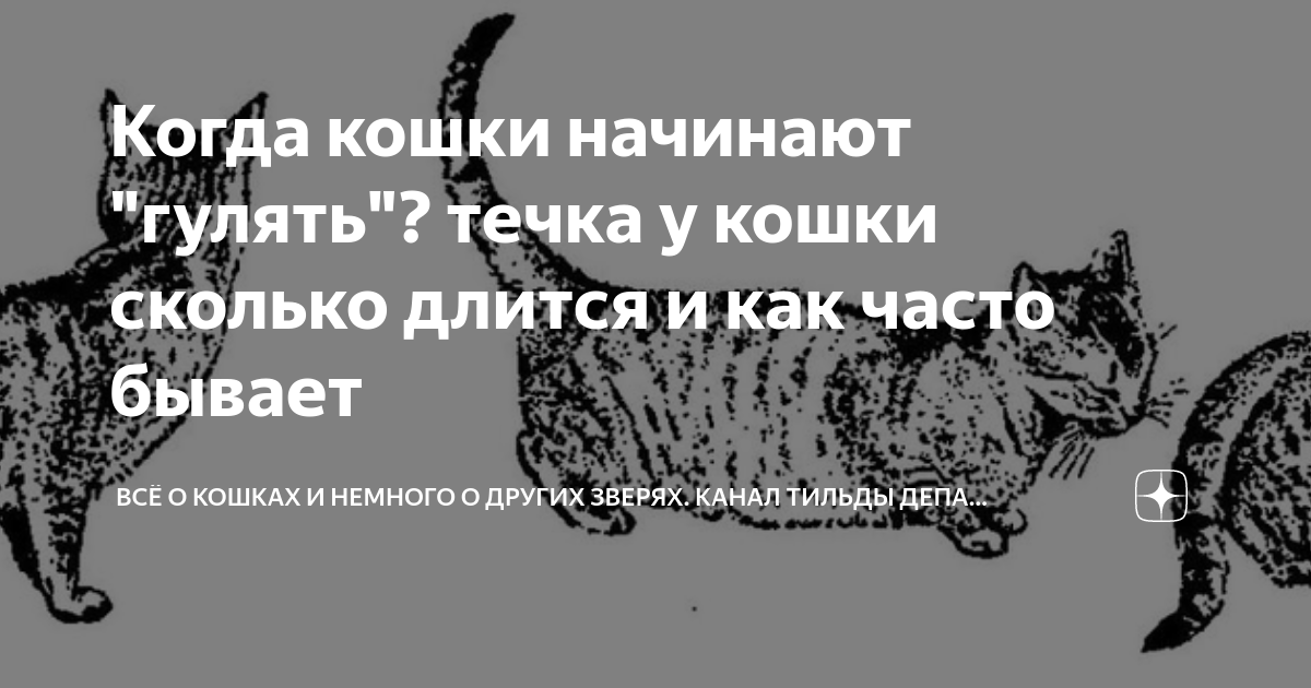 Через сколько начинают гулять кошки