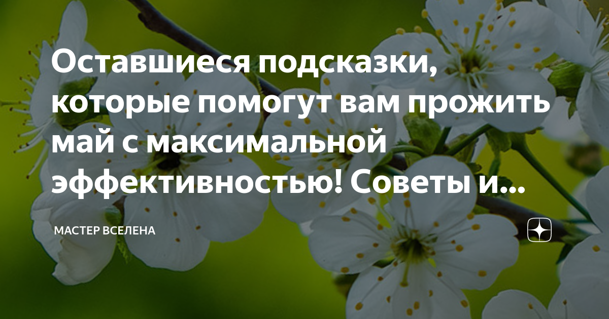 Рисовать с подсказкой. Видение будущего организации. Подсказка покупок. Подсказки судьбы. Подсказки создателя.