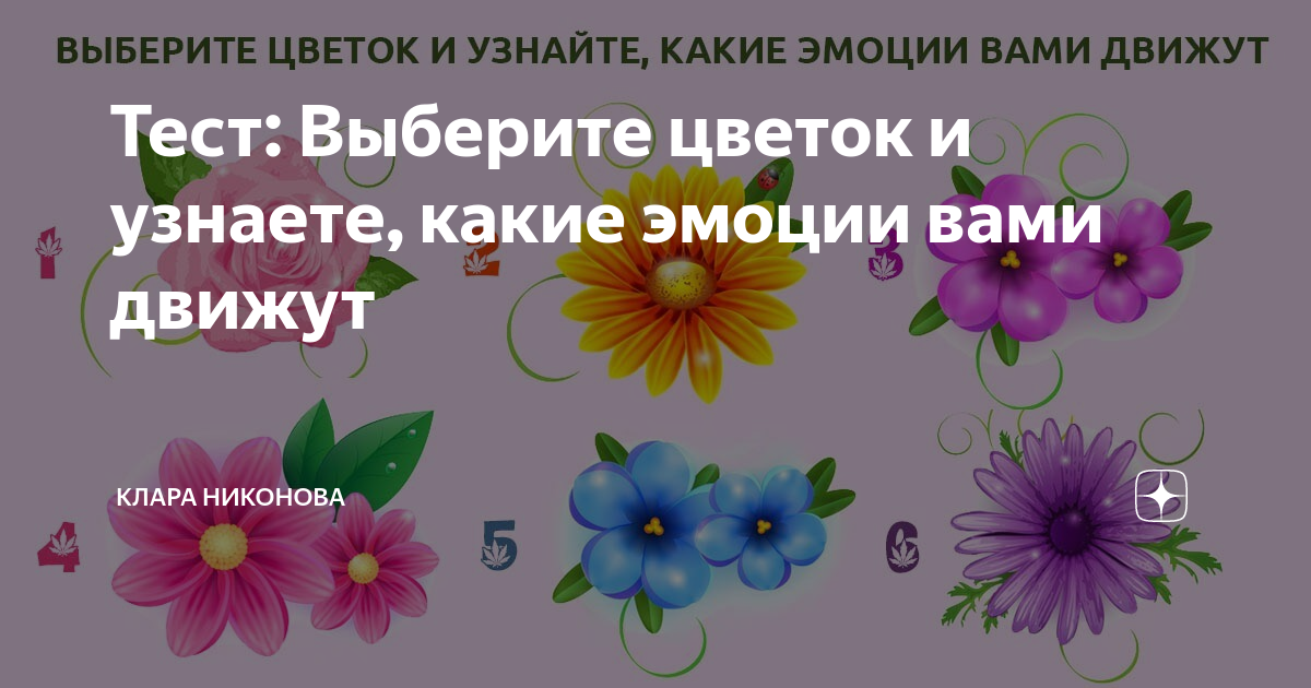 тест цветы. цветочный тест. тест выбери картинку. цветочный тест в картинках. тест выбери цветы.