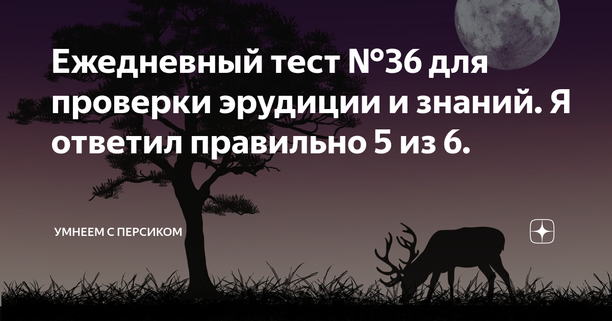 Тесты на эрудицию умнеем с персиком