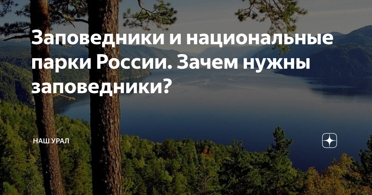 Заповедники и национальные парки России. Зачем нужны заповедники? | Наш ...