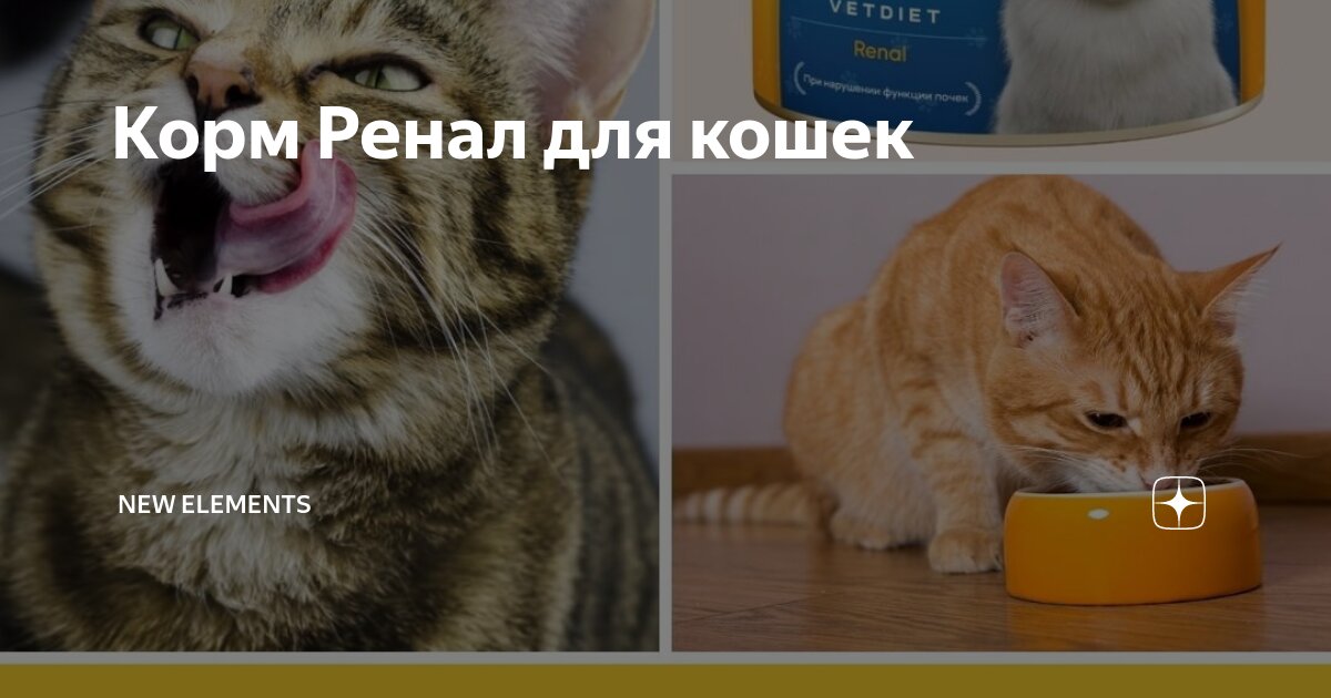 Корм Ренал для кошек | New Elements | Дзен