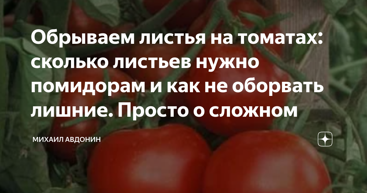 хочется сладкого чего не хватает в организме. почему хочется помидоров. хочется помидоров чего не хватает. чего не хватает в организме если хочется. сок из помидор.