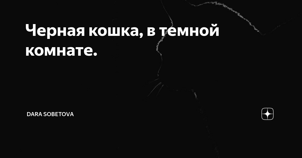 Путешествие с котом: какие прививки нужны и как подготовить кошку