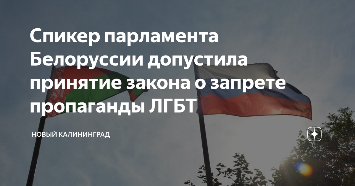 В Калининграде открывается филиал организации, помогающей представителям ЛГБТ*