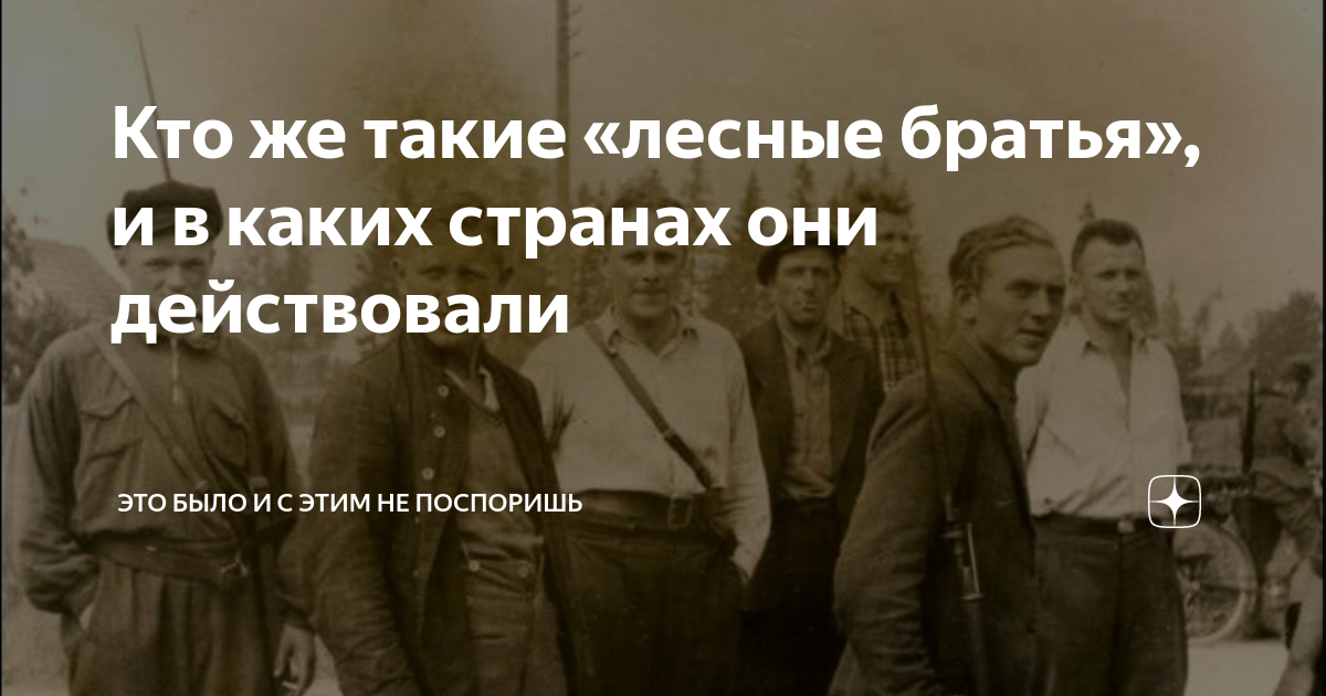 Кто же такие «лесные братья», и в каких странах они действовали | Это ...
