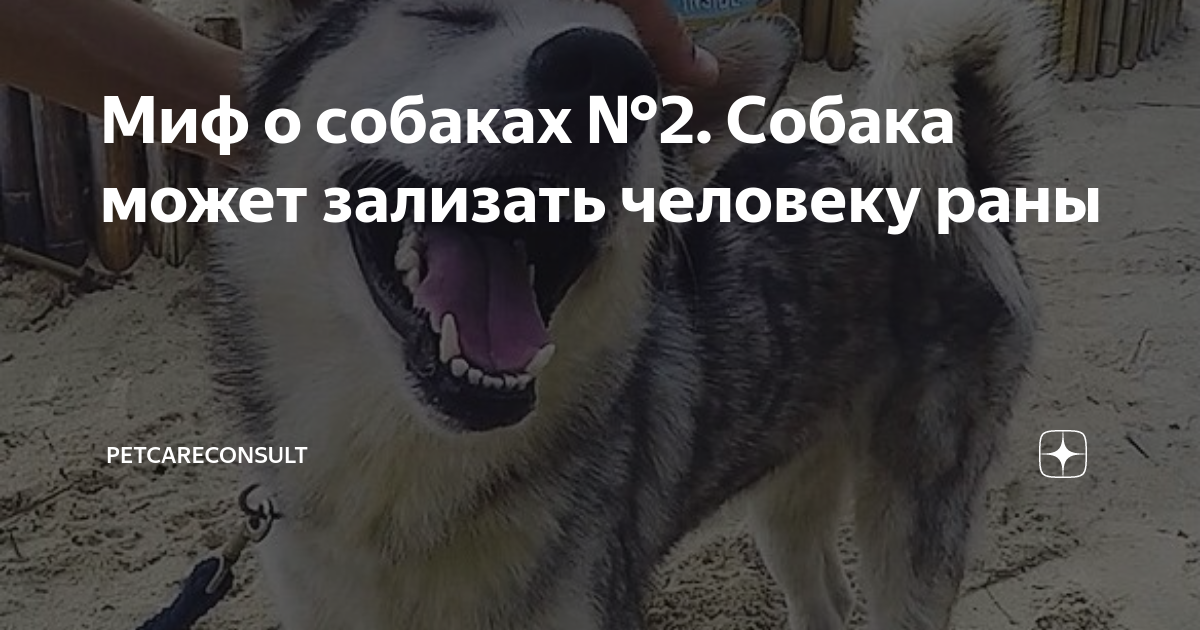 Потенциальные риски и ограничения