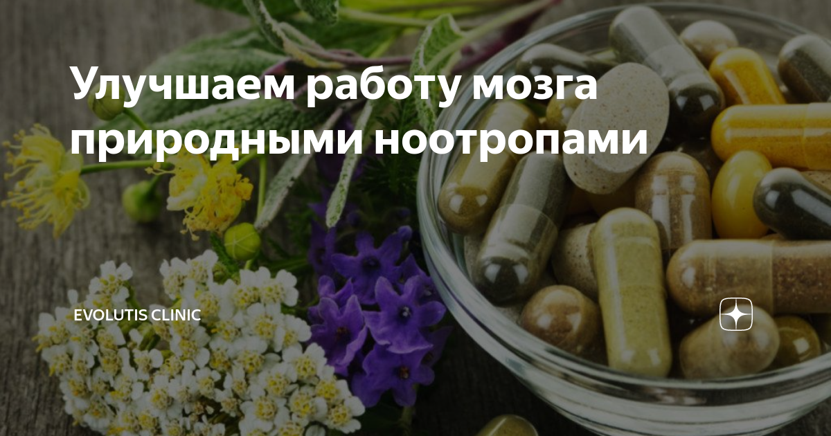 Улучшаем работу мозга природными ноотропами | Evolutis Clinic | Дзен